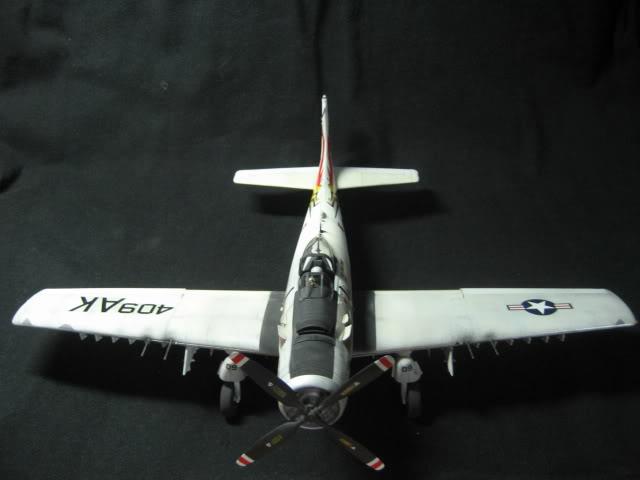 482296_10200455654465261_353512565_n