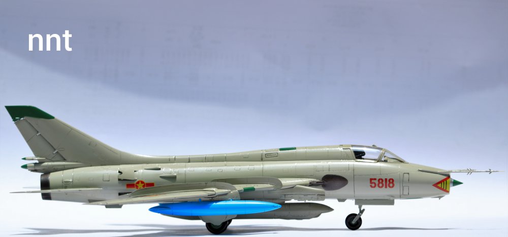 Polish_20230424_094511467