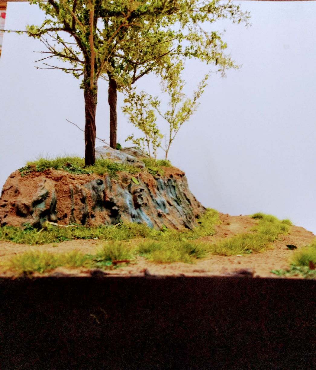 Screenshot_20191105-093029~2