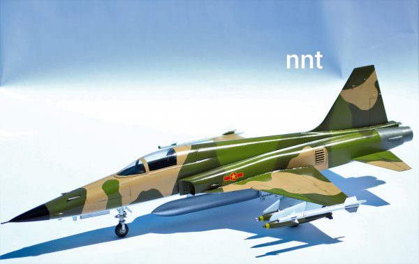 F-5E.jpg