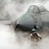 Pttiger